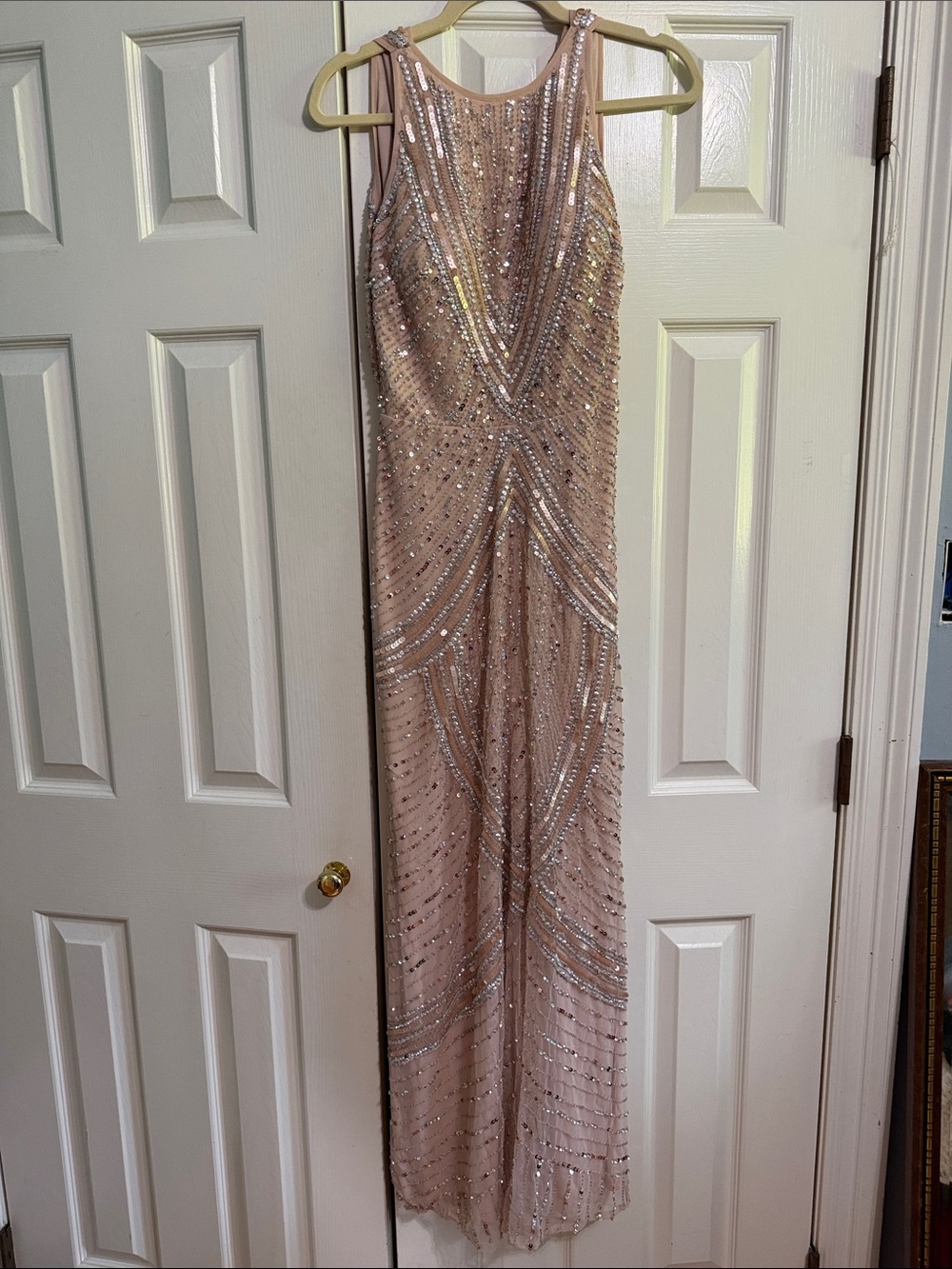 Aidan Mattox Blush Beaded Column Evening Gown